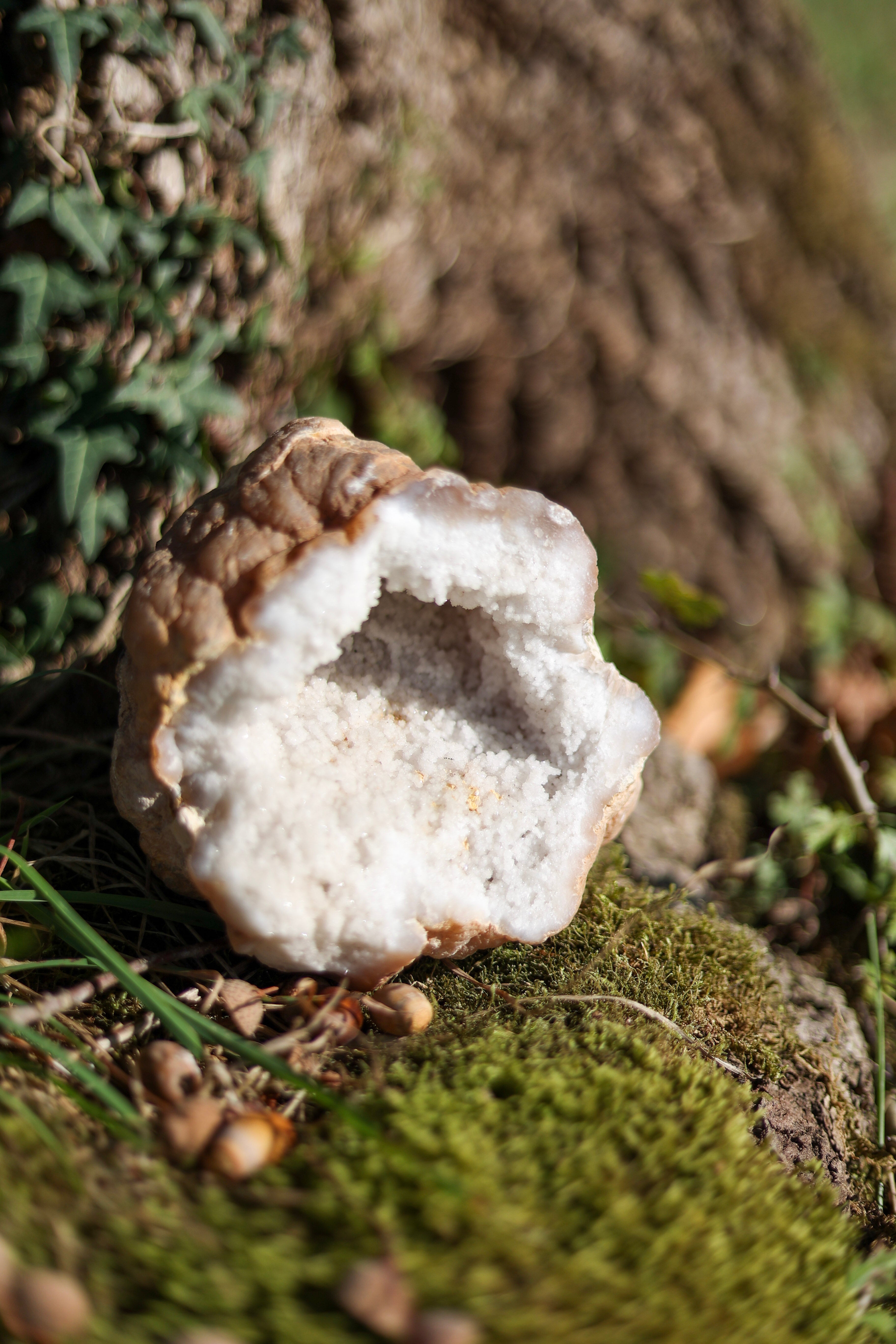 Géode de Calcite Blanche • Pièce collection