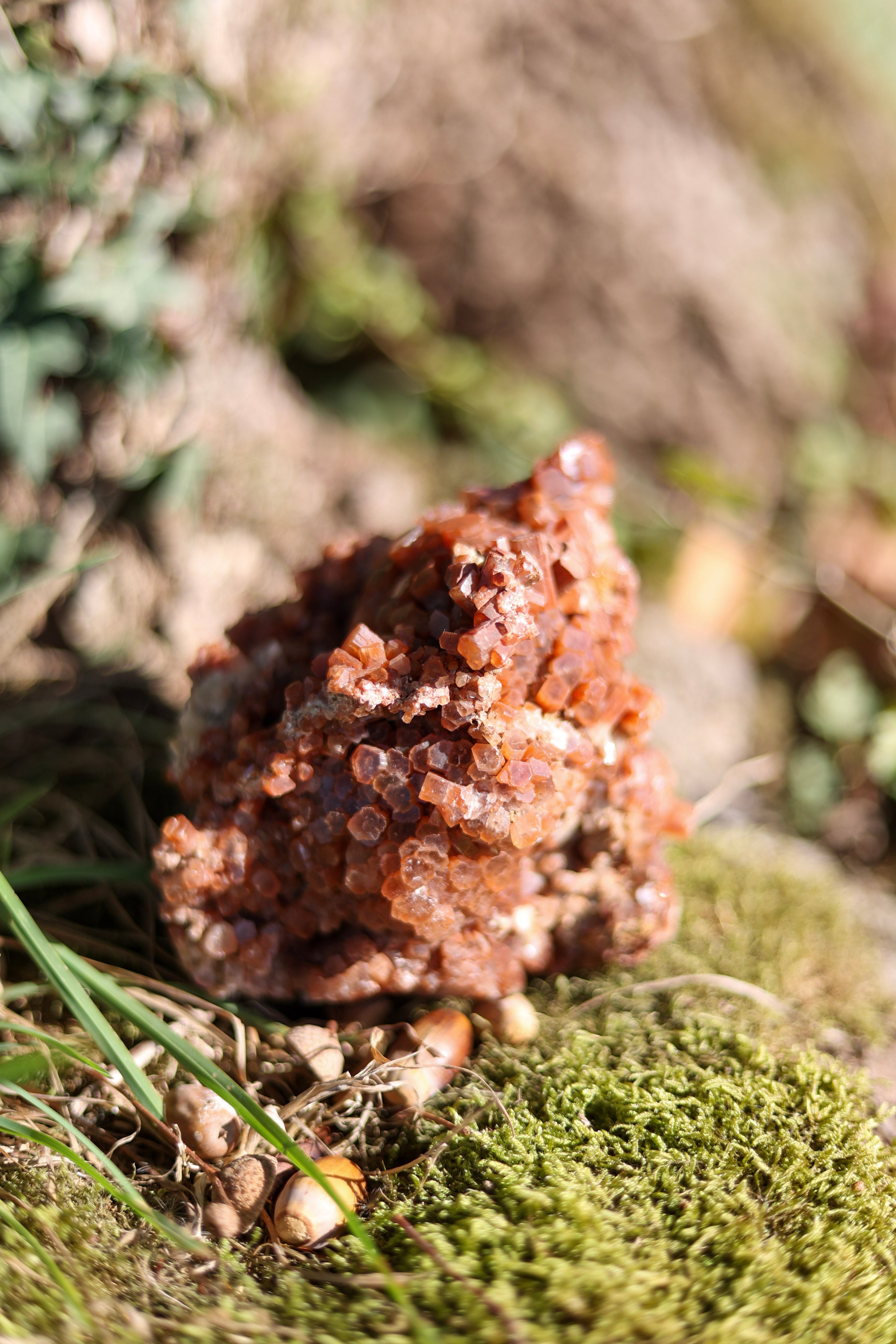 Aragonite • Pièce collection