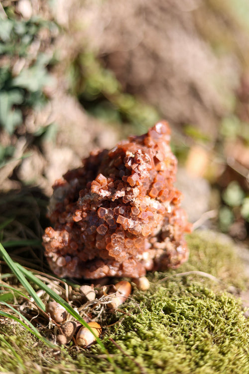 Aragonite • Pièce collection