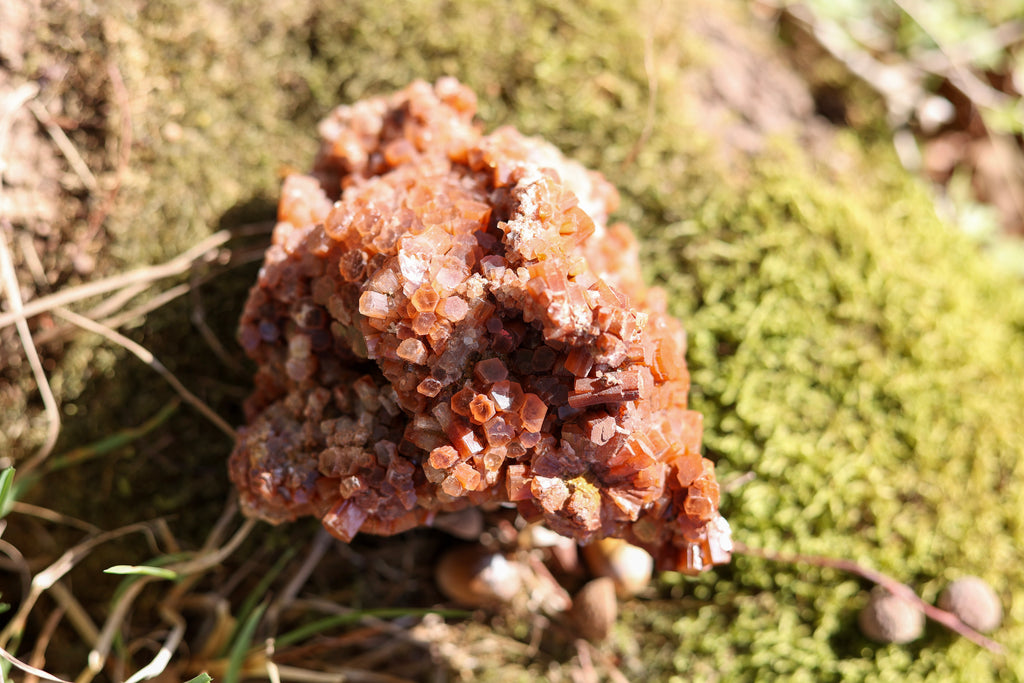 Aragonite • Pièce collection