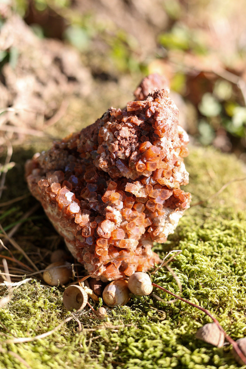 Aragonite • Pièce collection