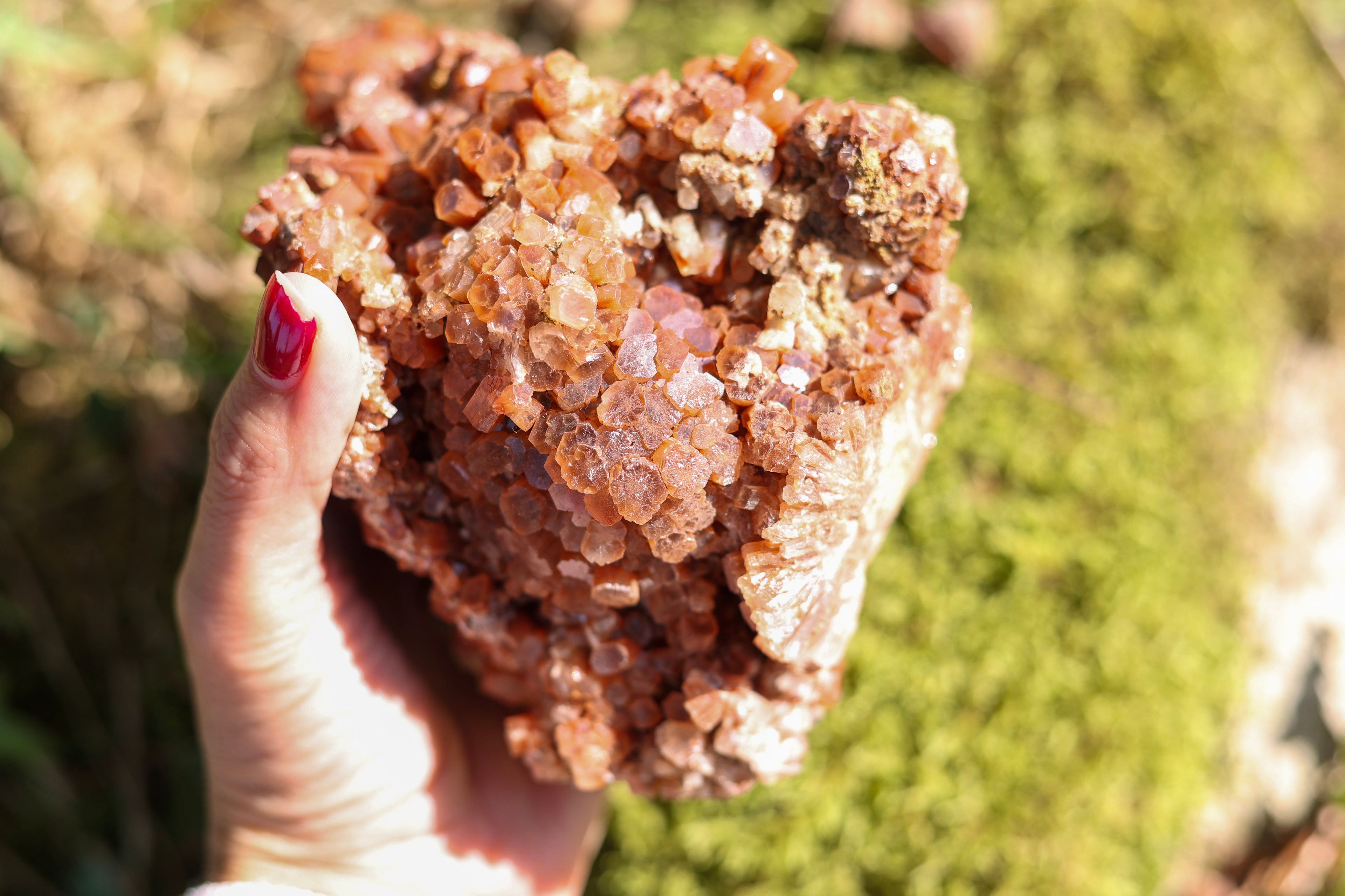 Aragonite • Pièce collection