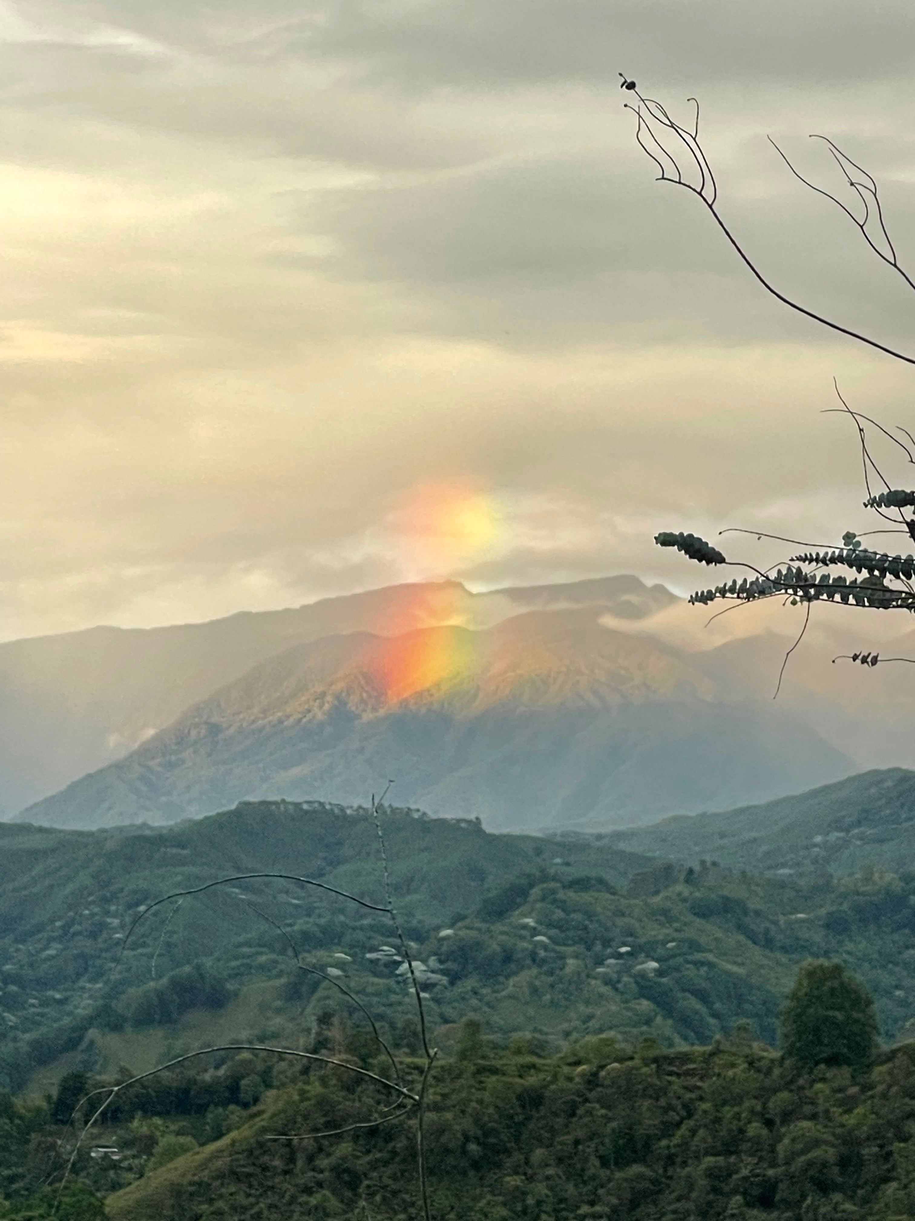 Atelier 27 avril • Retrouve ton intuition, Retrouve ton élan